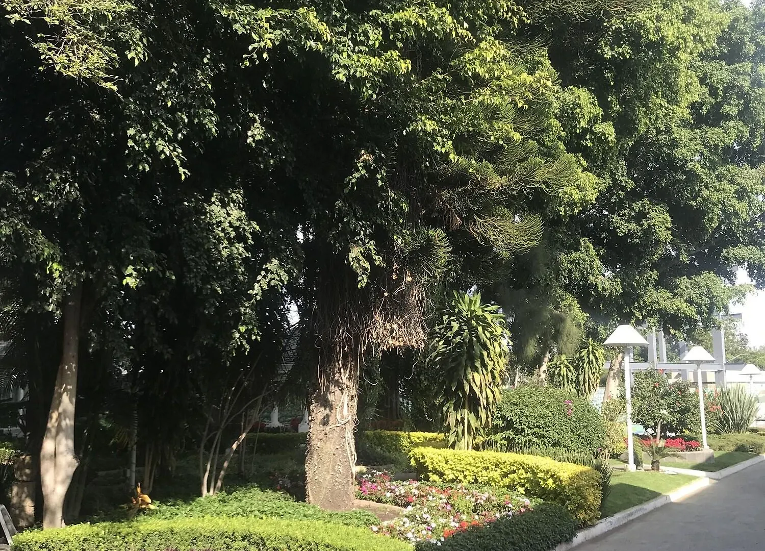 ****  Hotel Ronda Minerva Guadalajara Mexique