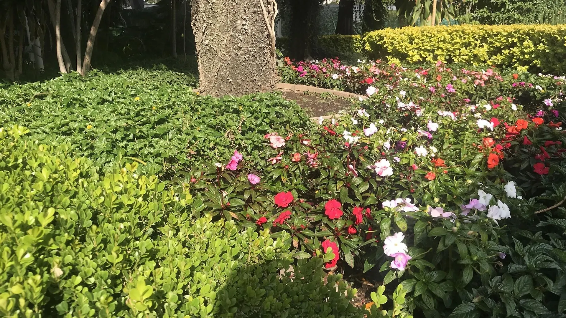 Hotel Ronda Minerva Guadalajara
