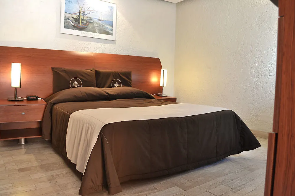 Hotel Ronda Minerva Guadalajara